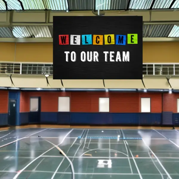 LED Screens - Customised Solutions for your venue - Image 8