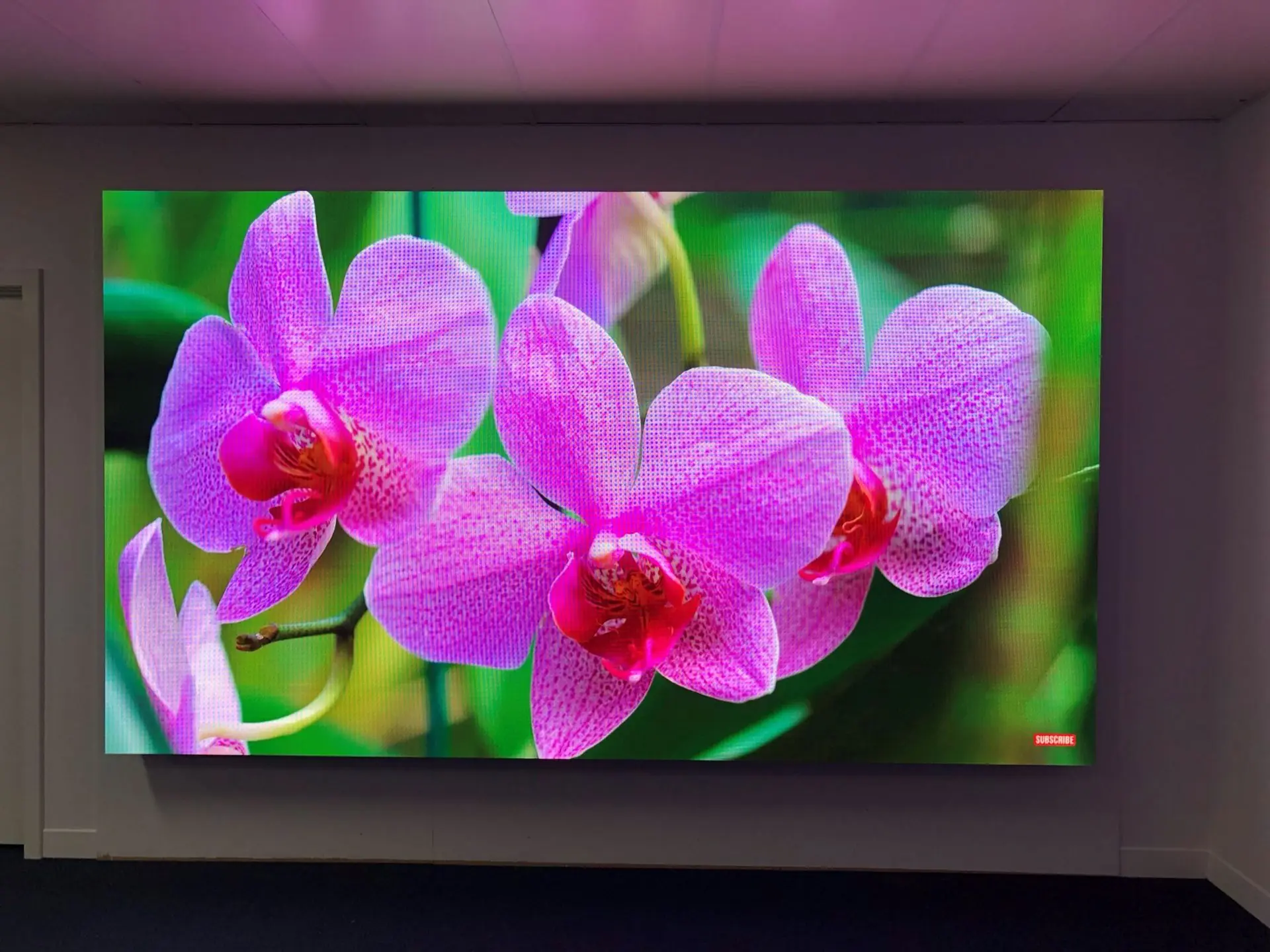 LED Screens - Customised Solutions for your venue - Image 7